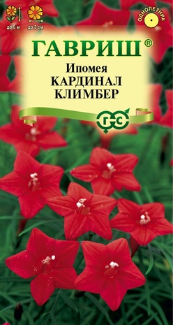 Семена Ипомея квамоклит Кардинал Климбер, 0,5 г - фото
