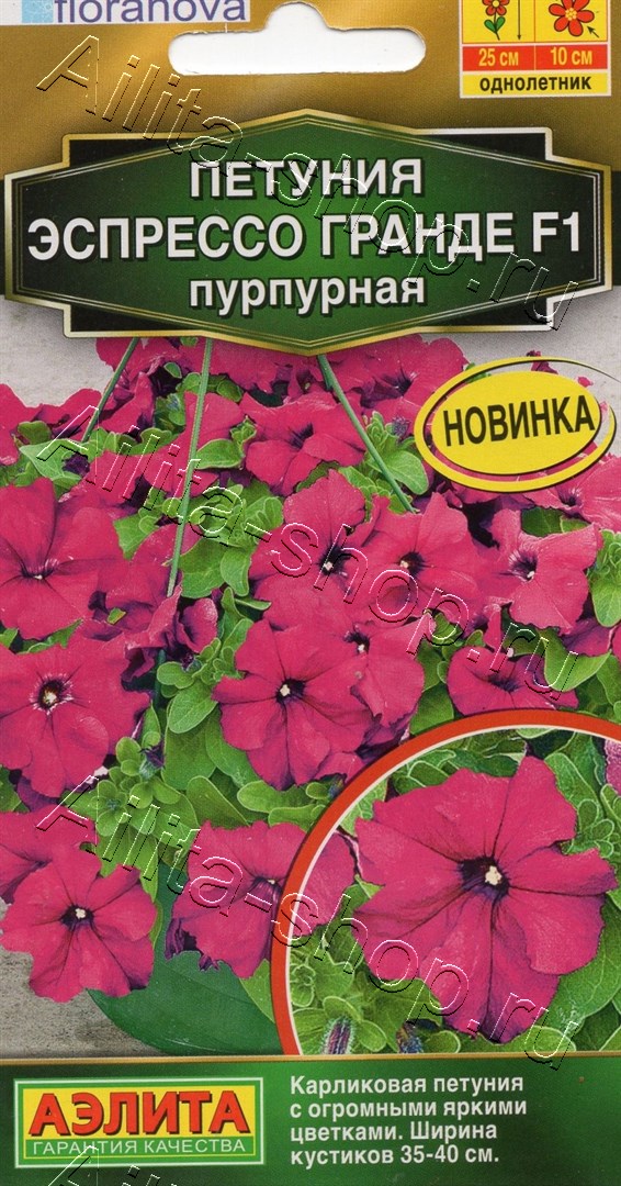 Семена Петуния Эспрессо Гранде F1 крупноцветковая пурпурная, 7 шт - фото