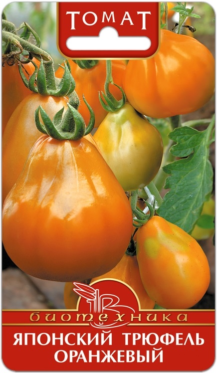 Семена Томат Японский Трюфель Оранжевый, 20 шт Биотехника - фото