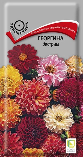 Семена Георгина Экстрим, 0,2 г - фото