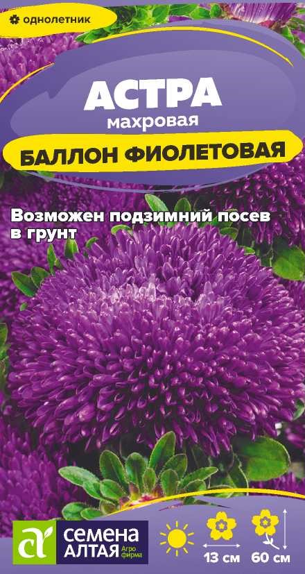 Семена Астра Баллон фиолетовая, 0,05 г - фото