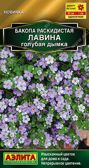 Семена Бакопа раскидистая Лавина голубая дымка, 3 шт - фото
