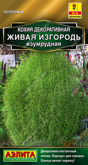 Семена Кохия Живая изгородь изумрудная, 0,1 г - фото