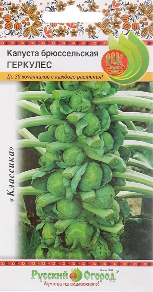 Семена Капуста брюссельская Геркулес, 0,3 г - фото