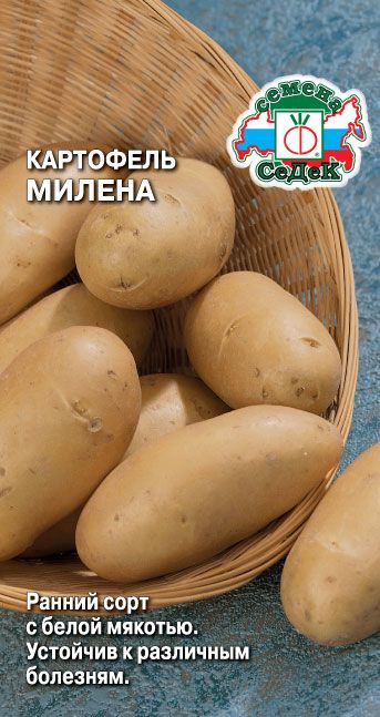 Семена Картофель Милена, 0,02 г - фото