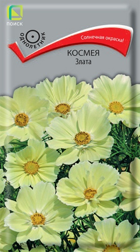 Семена Космея Злата, 0,1 г - фото