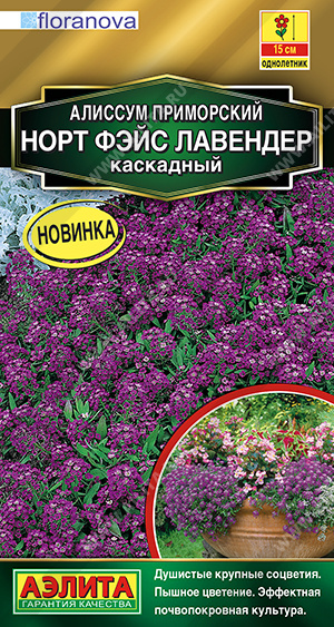 Семена Алиссум Норт фэйс лавендер каскадный, 10 шт - фото