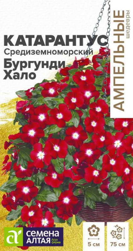Семена Катарантус Средиземноморский Бургунди Хало, 5 шт - фото