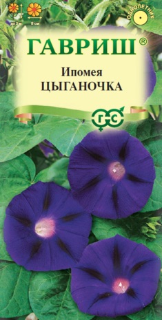 Семена Ипомея Цыганочка, 0,5 г - фото