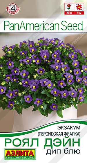 Семена Экзакум (Персидская фиалка) Роял дэйн дип блю, 4 шт - фото