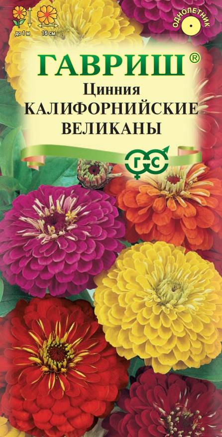 Семена Цинния Калифорнийский великан смесь, 0,3 г - фото