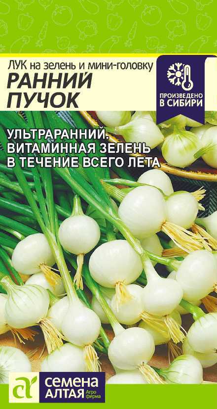 Семена Лук на зелень и мини-головку Ранний Пучок, 0,3 г - фото