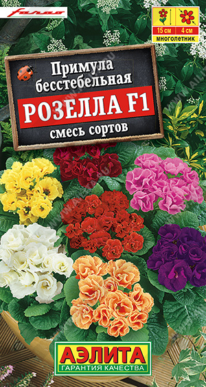 Семена Примула Розелла F1 смесь сортов, 7 шт - фото