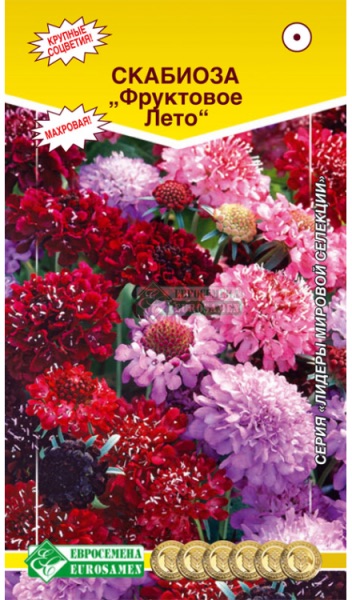 Семена Скабиоза Фруктовое лето, 10 шт - фото