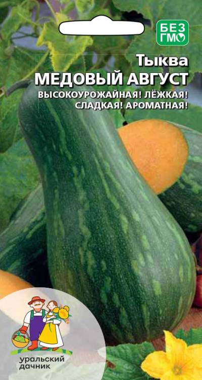 Семена Тыква Медовый август, 6 шт - фото, картинка Семена Тыква Медовый август, 6 шт - фото
