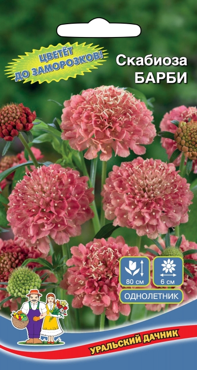 Семена Скабиоза Барби, 0,2 г - фото