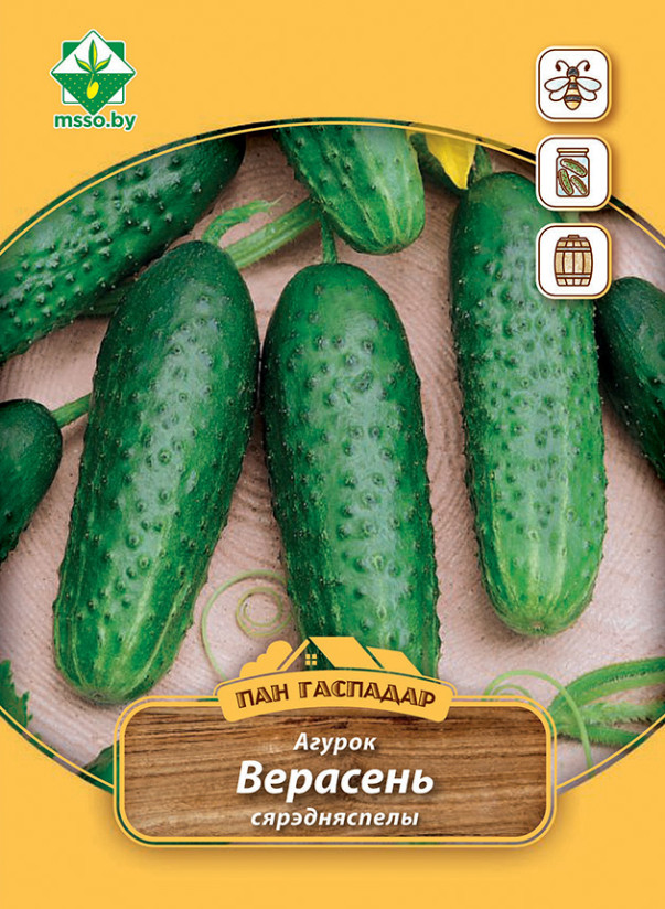 Семена Огурец Верасень, 3 г - фото