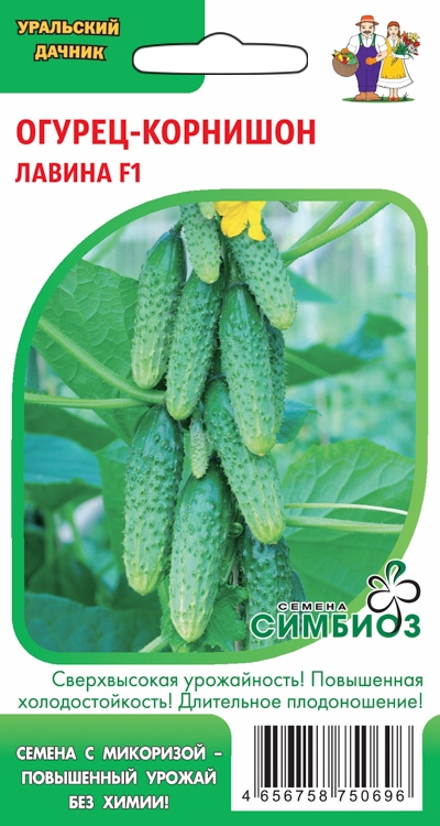 Семена Огурец-корнишон Лавина (симбиоз), 8 шт - фото