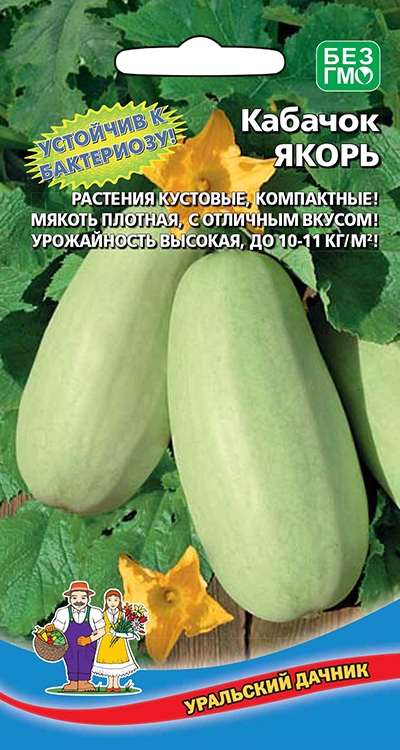 Семена Кабачок Якорь, 10 шт - фото