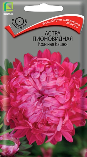 Семена Астра пионовидная Красная башня, 0,3 г - фото