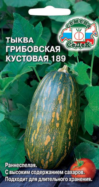 Семена Тыква Грибовская Кустовая 189, 1 г - фото, картинка Семена Тыква Грибовская Кустовая 189, 1 г - фото