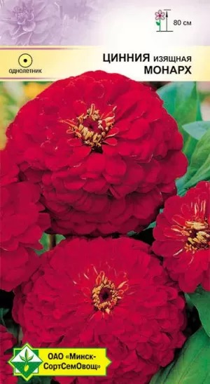 Семена Цинния изящная Монарх, 0,5 г - фото