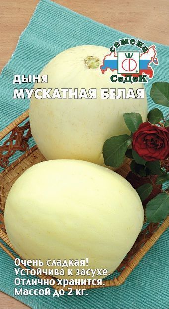 Семена Дыня Мускатная белая, 0,5 г - фото