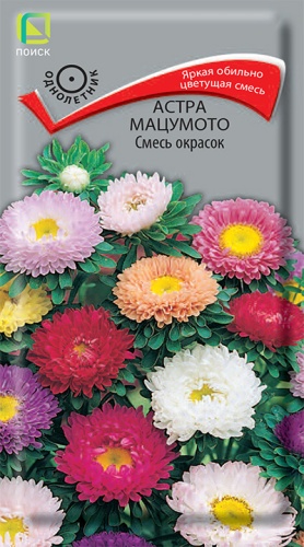 Семена Астра мацумото Смесь окрасок, 0,1 г - фото