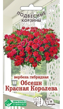 Семена Вербена гибридная Обсешн Красная Королева, 5 шт - фото