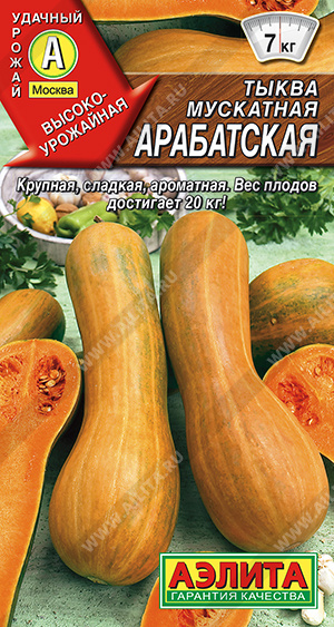 Семена Тыква мускатная Арабатская, 1 г - фото