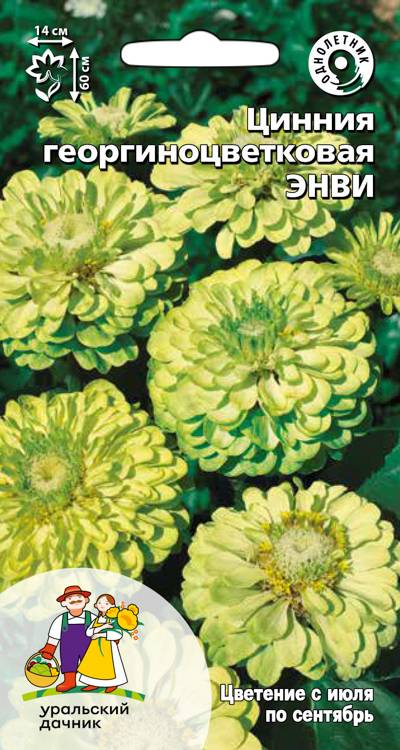 Семена Цинния георгиноцветковая Энви, 0,2 г УД - фото