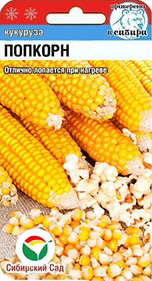 Семена Кукуруза Попкорн, 10 шт - фото