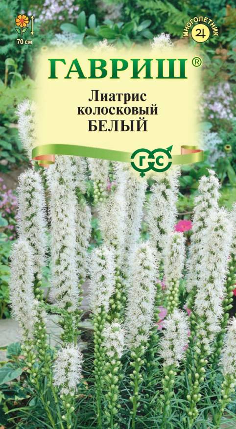 Семена Лиатрис колосковый белый, 0,05 г - фото
