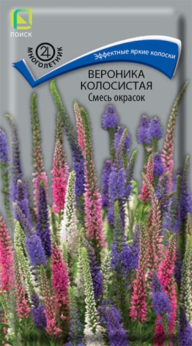 Семена Вероника колосистая смесь окрасок, 0,1 г - фото