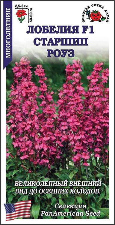 Семена Лобелия Старшип Роуз, 5 шт - фото