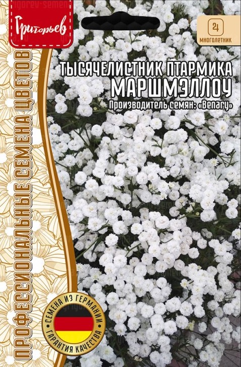 Семена Тысячелистник Маршмэллоу птармика, 5 шт - фото