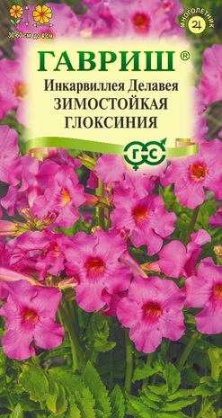 Семена Инкарвиллея Делавея Зимостойкая глоксиния, 0,1 г - фото