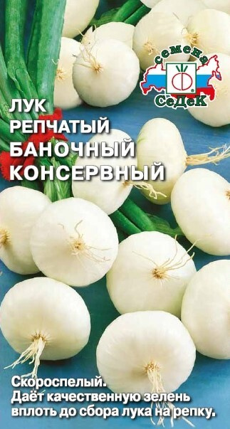 Семена Лук Баночный Консервный (репчатый), 0,5 г - фото