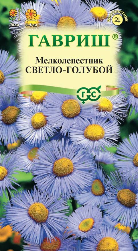 Семена Мелколепестник красивый светло-голубой, 0,02 г - фото