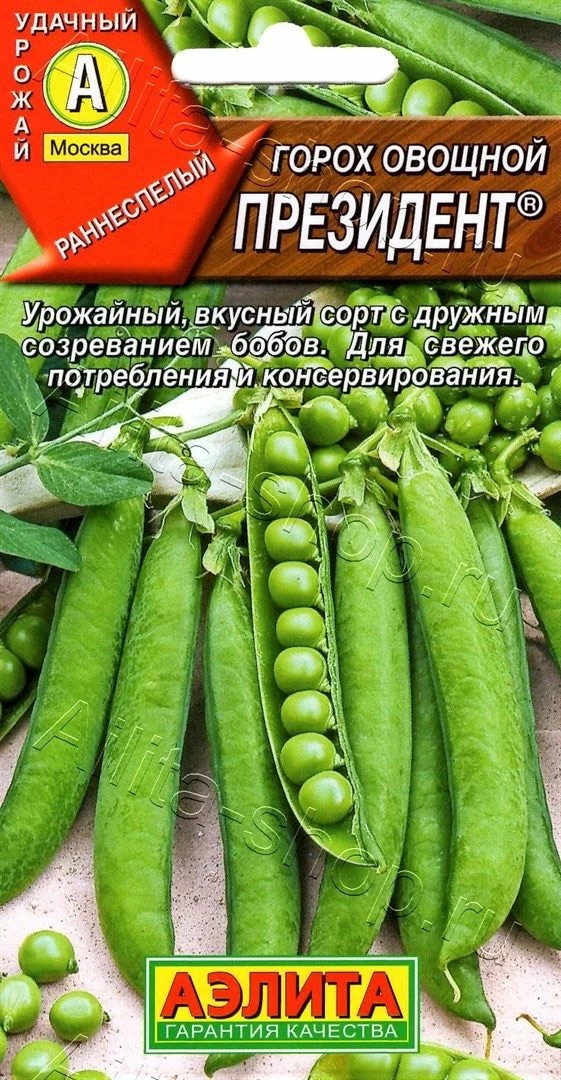 Семена Горох овощной Президент, 10 г - фото