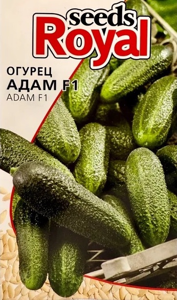 Семена Огурец Адам F1, 10 шт - фото