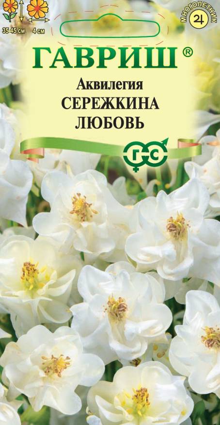 Семена Аквилегия Сережкина любовь, 0,05 г - фото