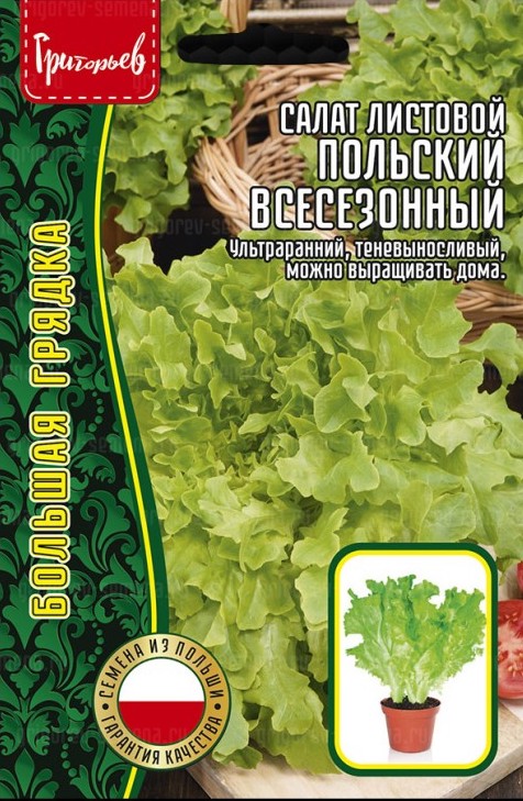 Семена Салат Польский Всесезонный листовой, 1000 шт - фото