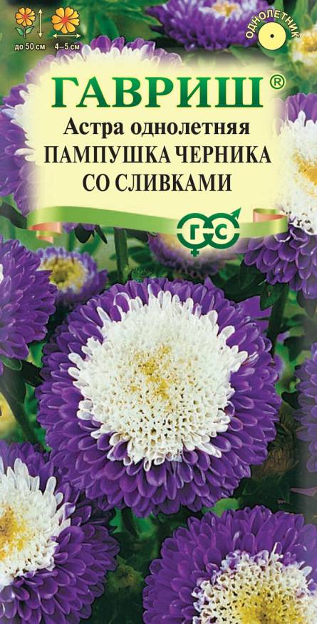 Семена Астра Пампушка черника со сливками, помпонная, 0,3 г - фото