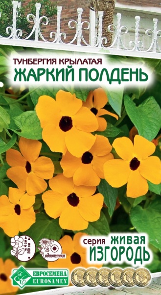 Семена Тунбергия крылатая Жаркий полдень, 10 шт - фото