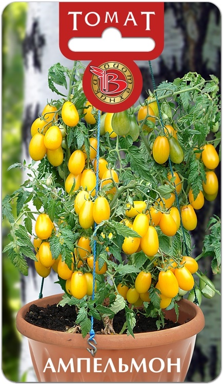 Семена Томат Ампельмон, 10 шт - фото