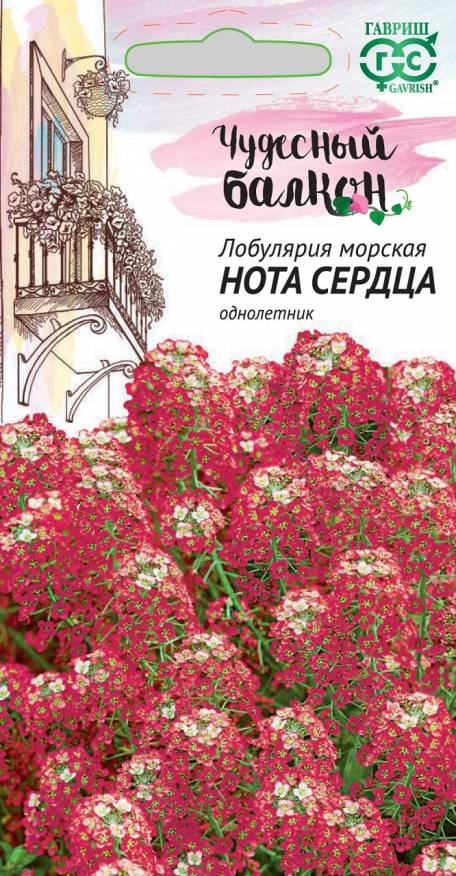 Семена Лобулярия Нота сердца, 0,05 г - фото