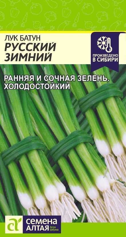 Семена Лук Батун Русский Зимний, 1 г - фото
