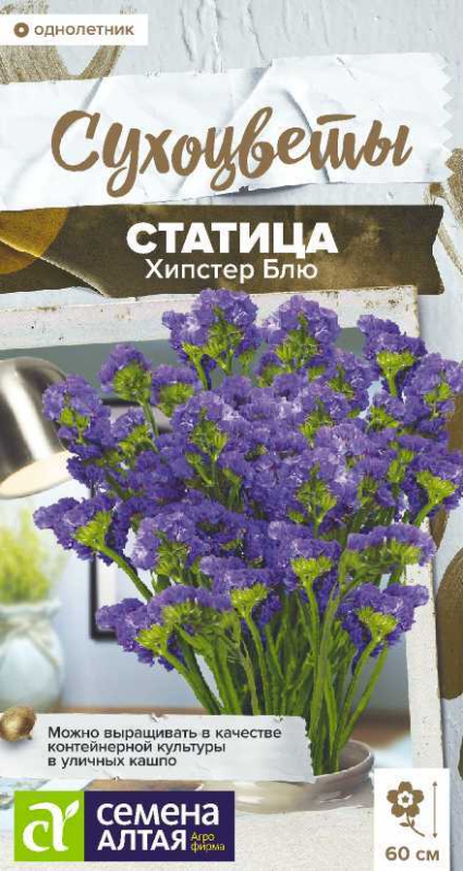 Семена Статица Хипстер Блю, 5 шт - фото