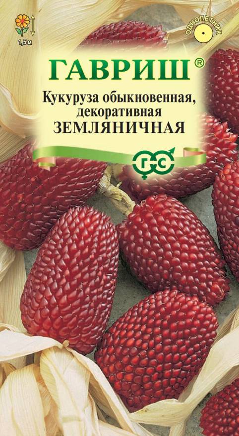 Семена Кукуруза декоративная Земляничная, 10 шт - фото